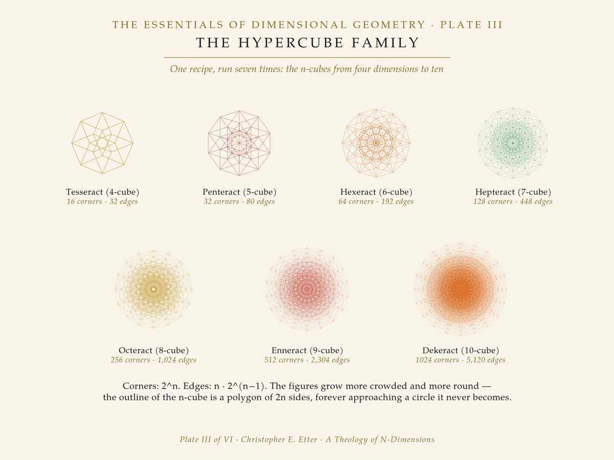 The Hypercube Family