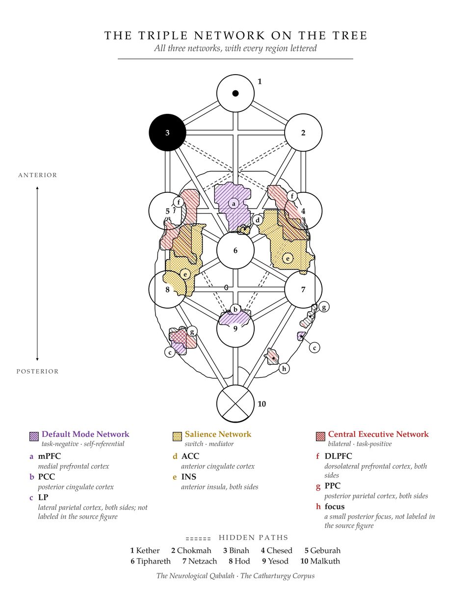 The Triple Network on the Tree