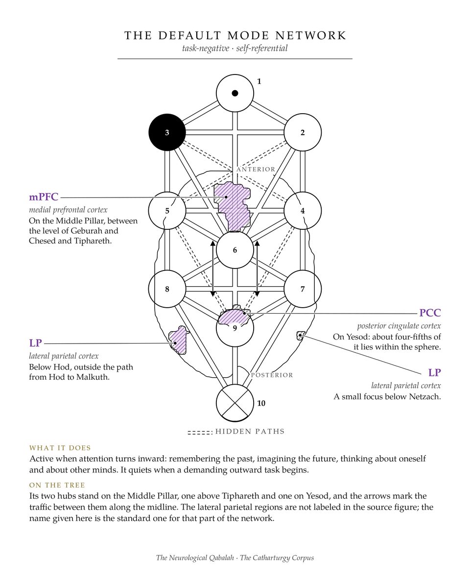The Default Mode Network